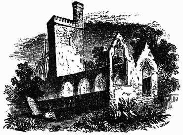 RUINS OF SELSKER ABBEY, WEXFORD.